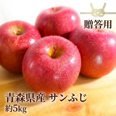 ふるさと納税 青森市 [11月〜翌年1月まで出荷予定]青森県産りんご サンふじ 約5kg 贈答用 平均糖度13度以上!