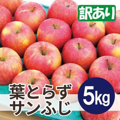 ふるさと納税 青森市 【26年1月〜2月出荷予定】平均糖度13度以上! 葉とらずサンふじ 約5kg 訳あり 青森りんご