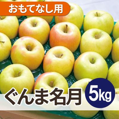 ふるさと納税 青森市 [26年4月出荷予定]平均糖度13度以上! ぐんま名月 約5kg おもてなし用 CA貯蔵 クール便
