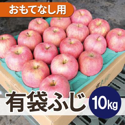 ふるさと納税 青森市 平均糖度13度以上! 有袋ふじ 約10kg おもてなし用 CA貯蔵 クール便