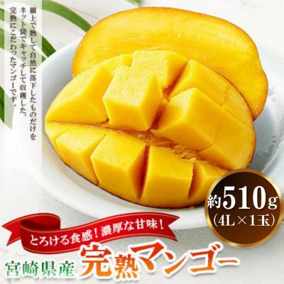 ふるさと納税 高鍋町 宮崎県産完熟マンゴー 4L×1玉(約510g)