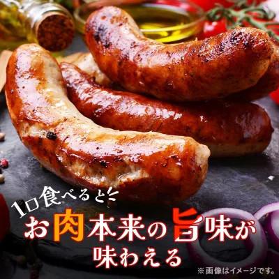 ふるさと納税 安城市 「贅沢11種類」ソーセージ食べ比べセット 11種 計990g (豚肉を楽しむ) 安城ハム |  | 01
