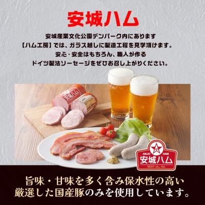 ふるさと納税 安城市 「贅沢11種類」ソーセージ食べ比べセット 11種 計990g (豚肉を楽しむ) 安城ハム |  | 03