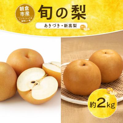 ふるさと納税 朝倉市 朝倉産 旬の梨(あきづき、新高)約2kg(朝倉市)