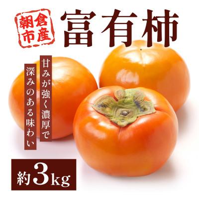 ふるさと納税 朝倉市 朝倉産 富有柿 約3kg(朝倉市)