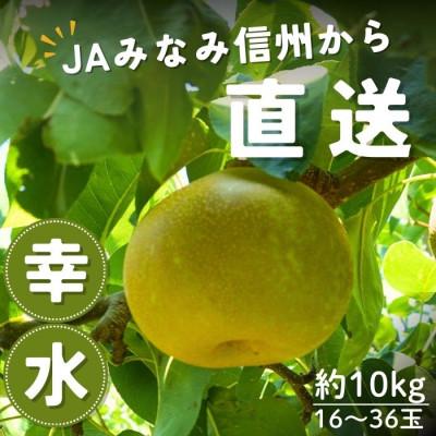 ふるさと納税 豊丘村 R8年発送[南信州産]幸水梨 秀品 約10kg 16〜36玉 8月下旬〜随時発送