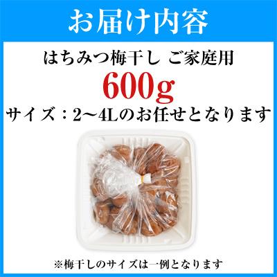 ふるさと納税 御坊市 【ご家庭用】はちみつ梅干し 600g (紀州南高梅) 塩分約7% 和歌山県産 |  | 02