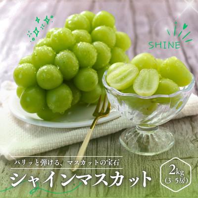 ふるさと納税 松川町 ぶどう シャインマスカット(長野県産秀品)2kg