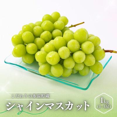 ふるさと納税 松川町 ぶどう 氷温貯蔵シャインマスカット(秀品)1kg[2026年11月中旬〜12月下旬頃発送予定]