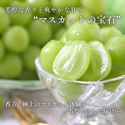 ふるさと納税 松川町 ぶどう 氷温貯蔵シャインマスカット(秀品)2kg【2026年11月中旬〜12月下旬頃発送予定】の画像