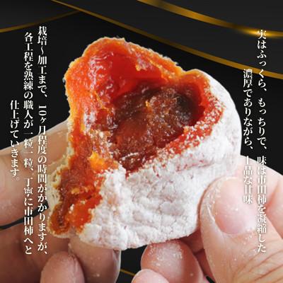 ふるさと納税 松川町 市田柿(ご自宅用)170g×3袋【2027年1月中旬〜2月