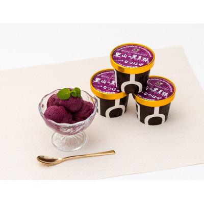 ふるさと納税 飯舘村 里山の黒真珠なつはぜアイス