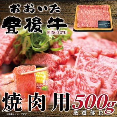 ふるさと納税 由布市 おおいた豊後牛焼肉用 500g(由布市)