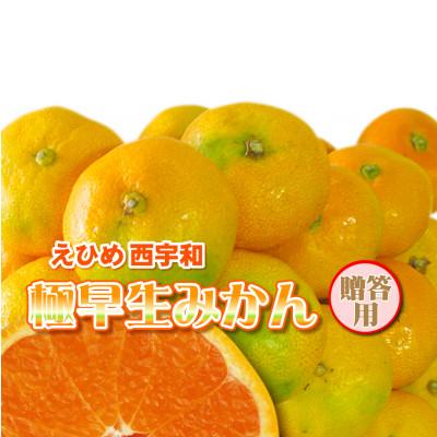 ふるさと納税 八幡浜市 みさき果樹園の極早生みかん5kg[C21-35]