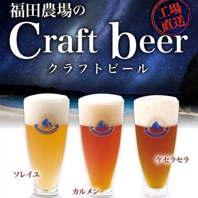 ふるさと納税 水俣市 クラフトビール 不知火海浪漫 麦酒 3種 6本セット[福田農場]