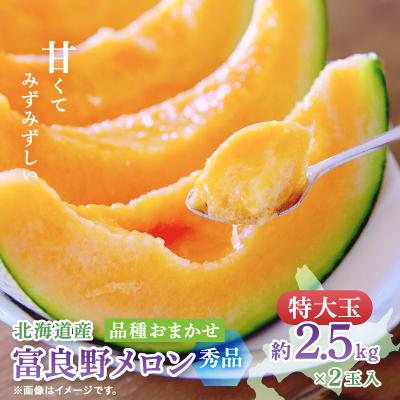 ふるさと納税 富良野市 【2026年発送　先行受付】富良野メロン(赤肉) 秀品2玉 計5kg〜
