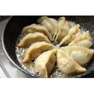 ふるさと納税 滝沢市 生餃子専門店ぽんぽこ 冷凍にんにく生餃子30個