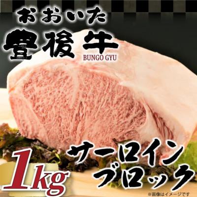 ふるさと納税 由布市 [厳選部位]おおいた豊後牛サーロインブロック 1kg(由布市)
