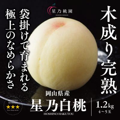 ふるさと納税 津山市 先行受付【星乃白桃】岡山県の桃園からお届けする三つ星の桃 1.2kg (4〜5玉)