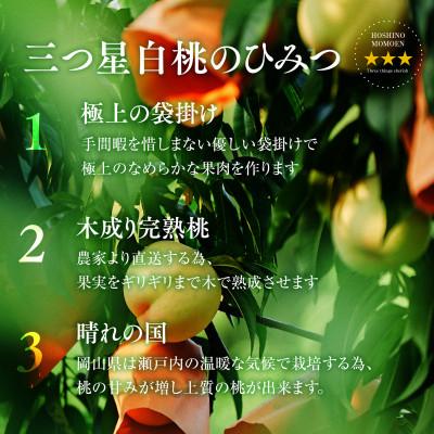 ふるさと納税 津山市 先行受付【星乃白桃】岡山県の桃園からお届けする三つ星の桃 1.2kg (4〜5玉)の画像