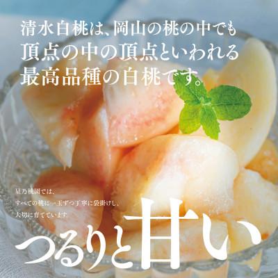 ふるさと納税 津山市 先行受付【清水白桃】岡山県産 三つ星 星乃桃園