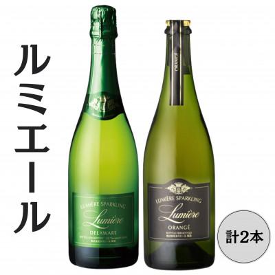 ふるさと納税 笛吹市 ルミエールスパークリングオランジェ・スパークリングデラウェア 計2本セット 167-154