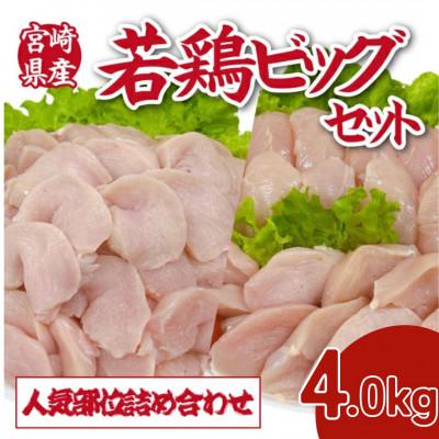 ふるさと納税 小林市 宮崎県産若鶏4kgビッグセット(小林市)