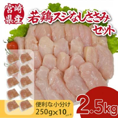 ふるさと納税 小林市 宮崎県産若鶏スジなしささみ2.5kgセット(250g×10P)(小林市)