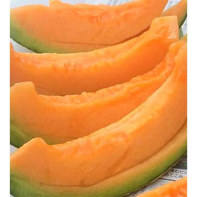 ふるさと納税 上川町 [2026年夏発送][最高級品]岸田農園産 極メロン(赤肉メロン)30セット限定