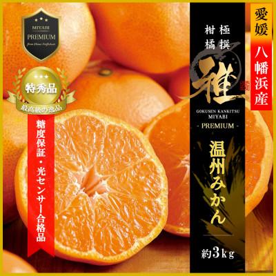 ふるさと納税 八幡浜市 極撰柑橘[雅プレミアム]糖度保証・光センサー合格品「八幡浜温州みかん」約3キロ[C39-63]