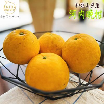 ふるさと納税 湯浅町 [先行受付]有田育ちの爽やか ご家庭用 河内晩柑 2kg