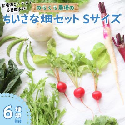 ふるさと納税 佐久穂町 [単発]信州北八ヶ岳からお届け〜のらくら農場の旨み野菜セット〜6種類前後(Sサイズ1〜2人分)