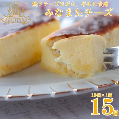 ふるさと納税 水俣市 みなまたチーズ 計600g(40g×15個)[モンブランフジヤ]