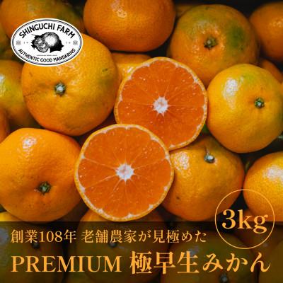 ふるさと納税 八幡浜市 [数量限定]老舗農家が見極めたプレミアム[極早生みかん3kg]愛媛県川上産[A70-66]