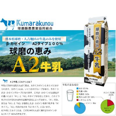 ふるさと納税 水上村 球磨の恵みA2牛乳 1000ml 4本(水上村) : Yahoo