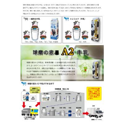 ふるさと納税 水上村 球磨の恵みA2牛乳 1000ml 4本(水上村) : Yahoo