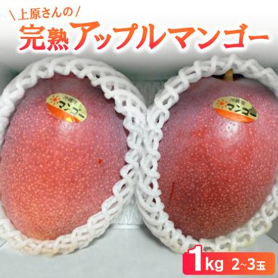 ふるさと納税 本部町 [2026年6月から順次発送]上原さんの完熟アップルマンゴー1kg(2〜3玉)