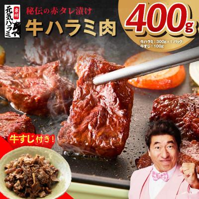 ふるさと納税 泉佐野市 [お試し]牛ハラミ 300g+牛すじ 100g 秘伝の赤タレ漬け