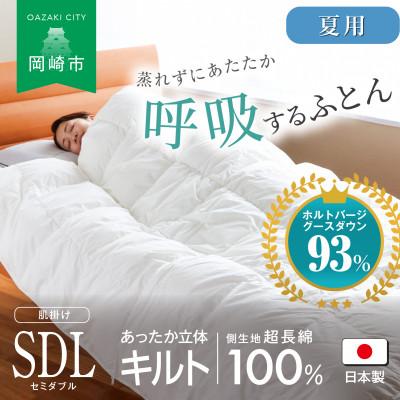 ふるさと納税 岡崎市 [夏用]究極に軽く、蒸れない羽毛ふとん (セミダブルロングサイズ)170x210cm(HVG)