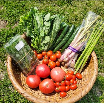 ふるさと納税 高根沢町 高根沢町産 春の旬の農産物詰め合わせ 6品以上