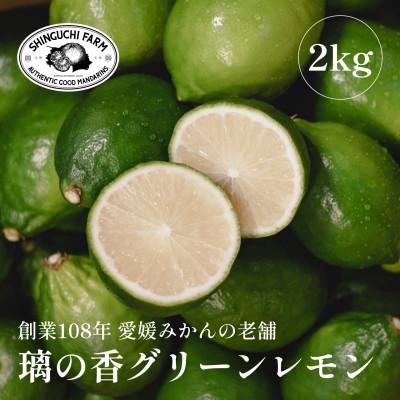 ふるさと納税 八幡浜市 [皮が薄くて種が少ない]璃の香グリーンレモン 2kg 愛媛県産[A70-67]