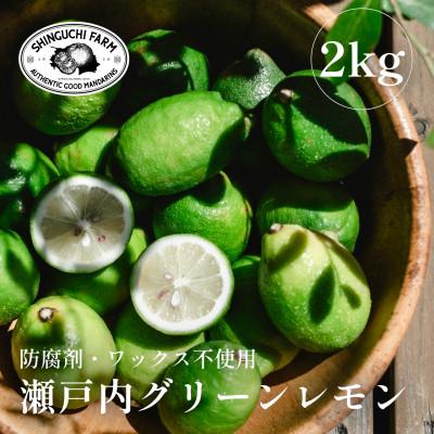 ふるさと納税 八幡浜市 [皮ごと食べられる]瀬戸内グリーンレモン 2kg 防腐剤・ワックス不使用[A70-68]