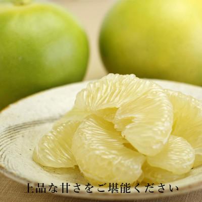 ふるさと納税 土佐市 【秋の味覚】水晶文旦 約5kg 特選品贈答用(7〜8個入り)_2