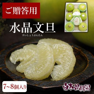 ふるさと納税 土佐市 【秋の味覚】水晶文旦 約5kg 特選品贈答用(7〜8個入り)_3