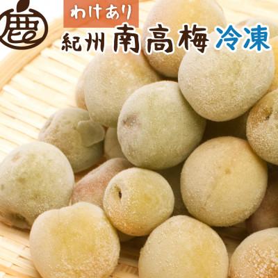 ふるさと納税 広川町 家庭用 冷凍梅500g[ 紀州 南高梅 青梅 黄梅 完熟梅 ][訳あり]