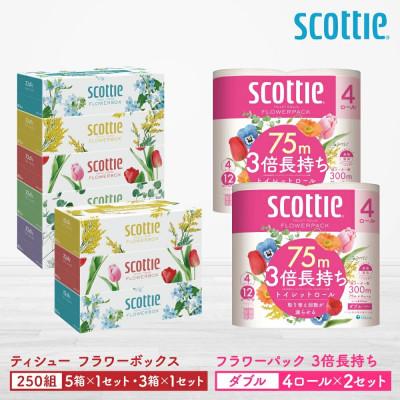 ふるさと納税 八代市 [スコッティ]ティシュー5箱P×1セット+3箱P×1セット+トイレット4ロール(ダブル)P×2セット