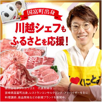 ふるさと納税 国富町 豚肉バラエティー詰合せセット 4.5kg(国富町) |  | 01