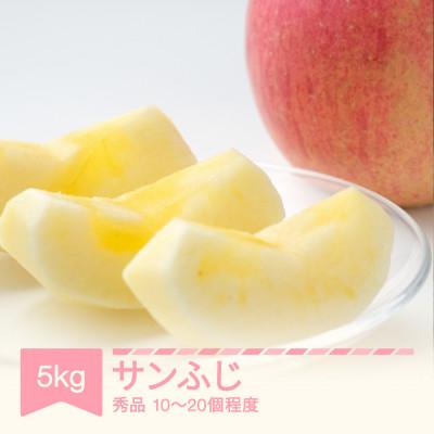 ふるさと納税 村山市 2025年産 りんご サンふじ 秀品 約5kg (10〜20個程度) 山形県産