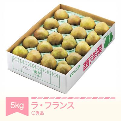 ふるさと納税 村山市 ラ・フランス 洋梨 ◯秀品 約5kg 2026年産 令和8年産