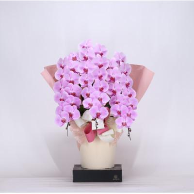 ふるさと納税 有田市 フォアスPREMIUM胡蝶蘭3本立ち39リン以上 ピンク